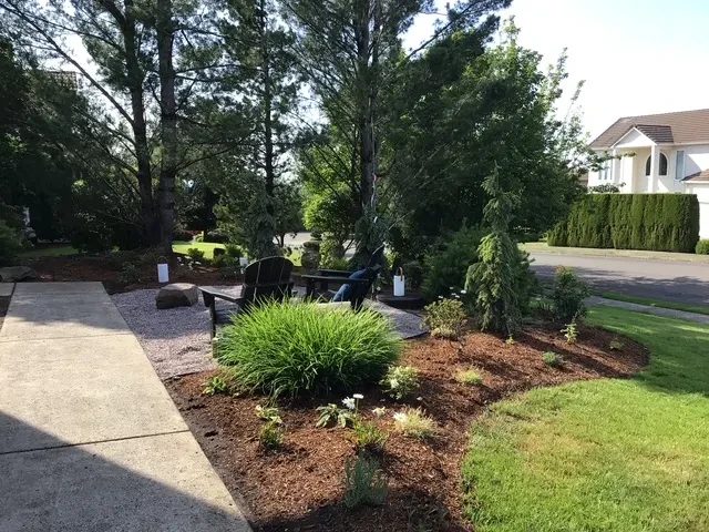 Curved planting bed with grasses and evergreens beside a gravel seating area