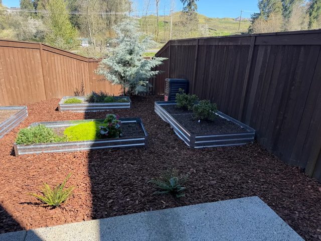 Fenced backyard with fresh red bark dust around raised garden beds